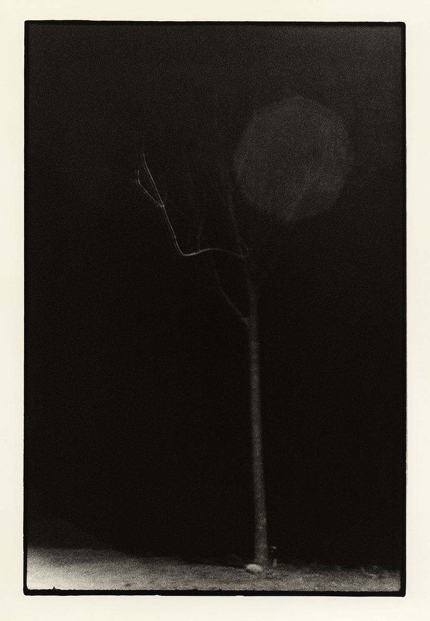 %_tempFileNameimg005%20copy%